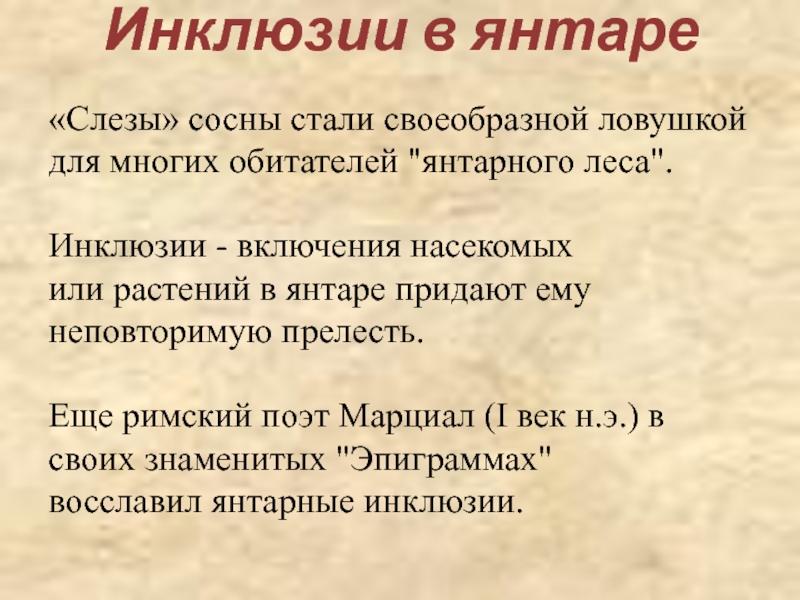 Инклюзии в янтаре «Слезы» сосны стали своеобразной ловушкой для многих обитателей 