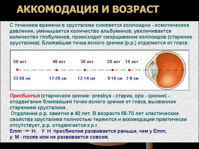 Возрастные особенности глаз презентация