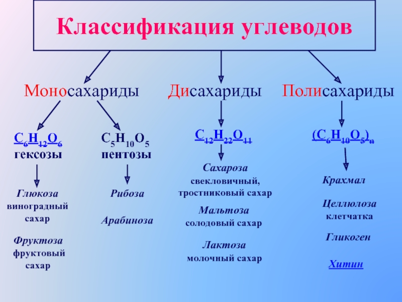 Углеводы презентация по химии