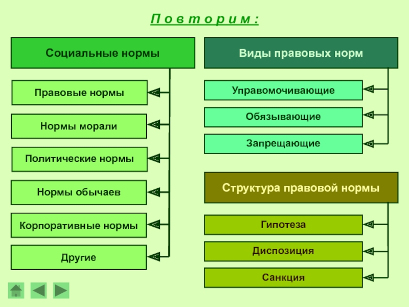 Классификация правовых норм презентация