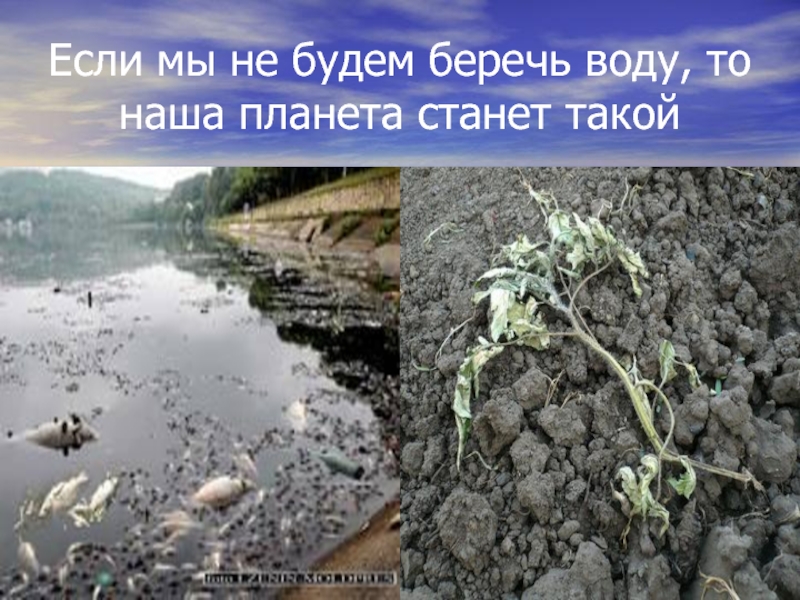 Берегите воду фото