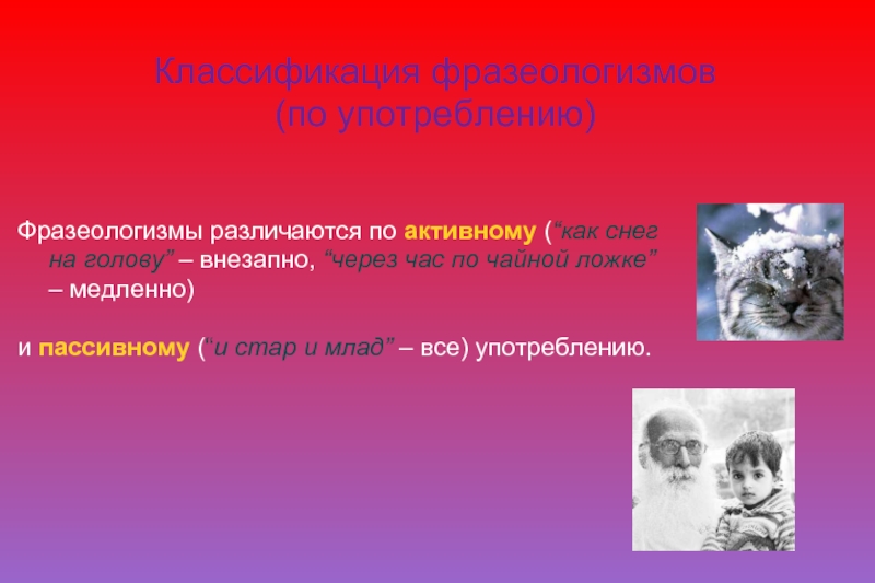 Фразеологизм медленно. Фразеологизмы активного и пассивного употребления. Активные фразеологизмы. Активные и пассивные фразеологизмы. И Стар и млад фразеологизм.