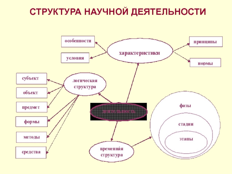 Логическая структура проекта