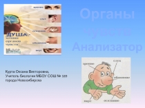 Органы чувств. Анализаторы