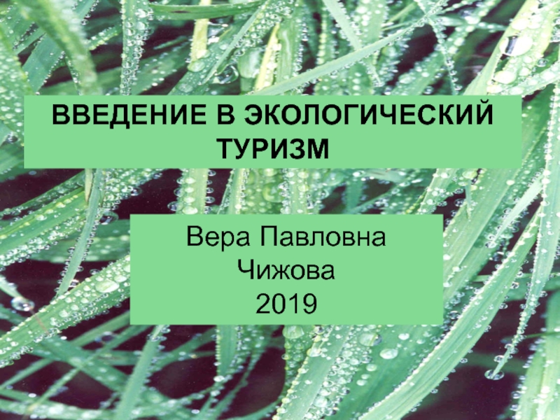 Презентация Вера Павловна Чижова 201 9