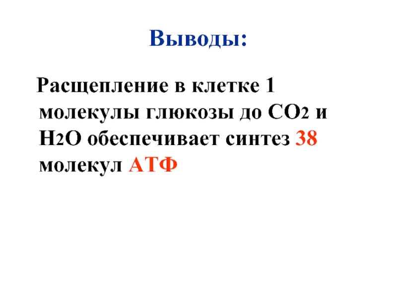 Обеспечивает синтез. При расщеплении 1 молекулы Глюкозы. Расщепление Глюкозы 1 молекулы АТФ. Расщепление органических веществ до со2 и н2о. Синтез 38 молекул АТФ.