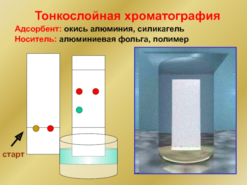 Картинки тонкослойная хроматография