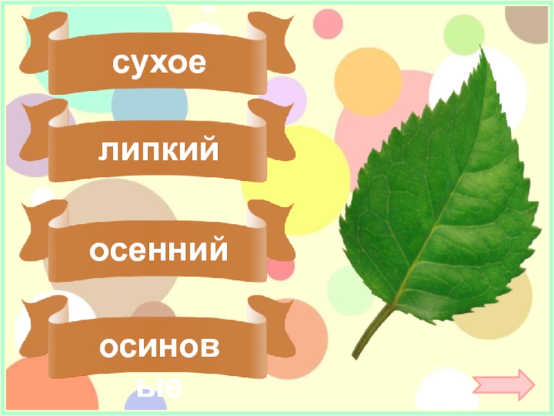 Подбери признак. Набор слов на осеннюю. Осень это предмет или признак. Подбери признак Нора. Подбери по смыслу слова прилагательные роща осенняя Осиновая.