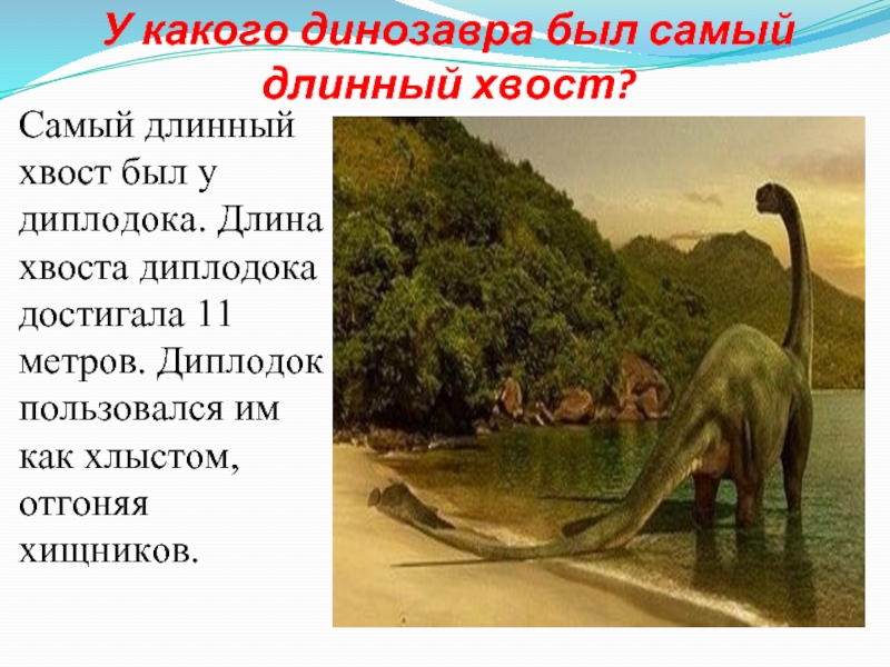 Опиши динозавра. Динозавр Диплодок факты. Диплодок описание для детей. Сообщение про диплодока 7 класс. Динозавр Диплодок рассказ.