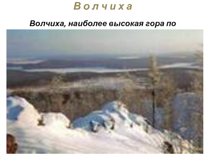 В о л ч и х а  Волчиха, наиболее высокая гора по близости Екатеринбурга (высота 526м).