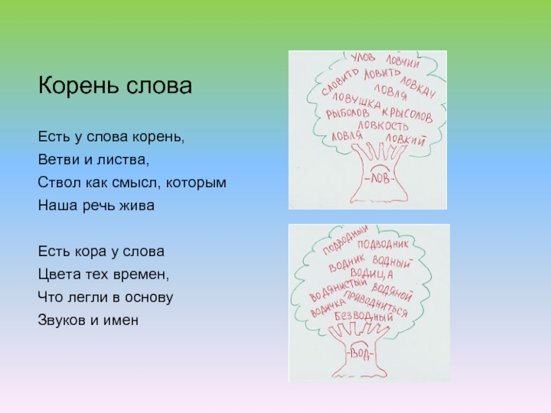 Данный корень слова. Слова с корнем слов. Корень слова. Ветка корень слова. Корень в слове ветвями.