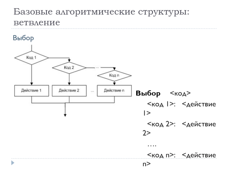 Алгоритмическая структура ветвления