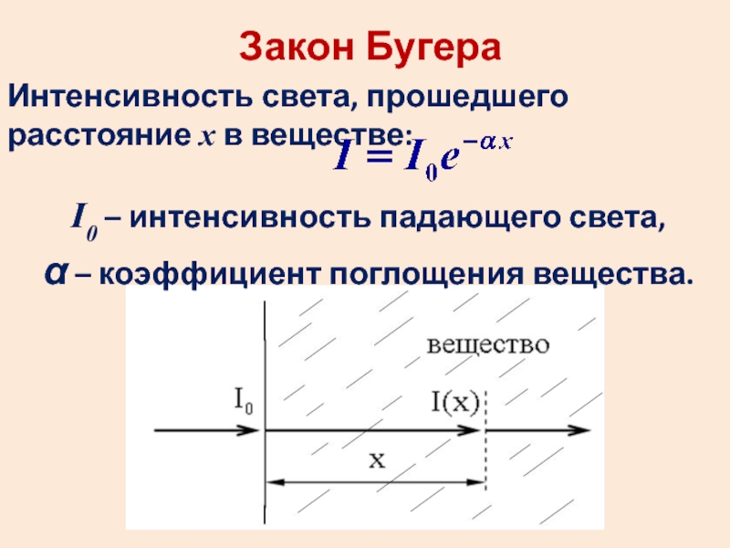 Интенсивность прошедшего света. Интенсивность падающего света формула. Закон Бугера интенсивность прошедшего света. Поглощение света закон Бугера. Поглощение падающего света.