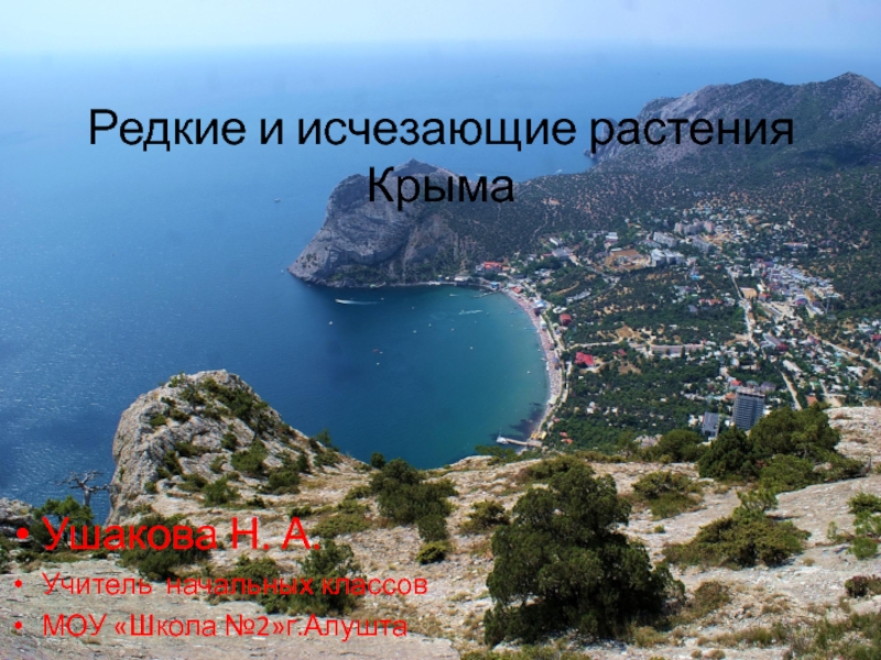 Презентация Редкие и исчезающие растения Крыма