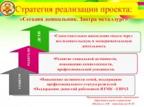 Стратегия реализации проекта: