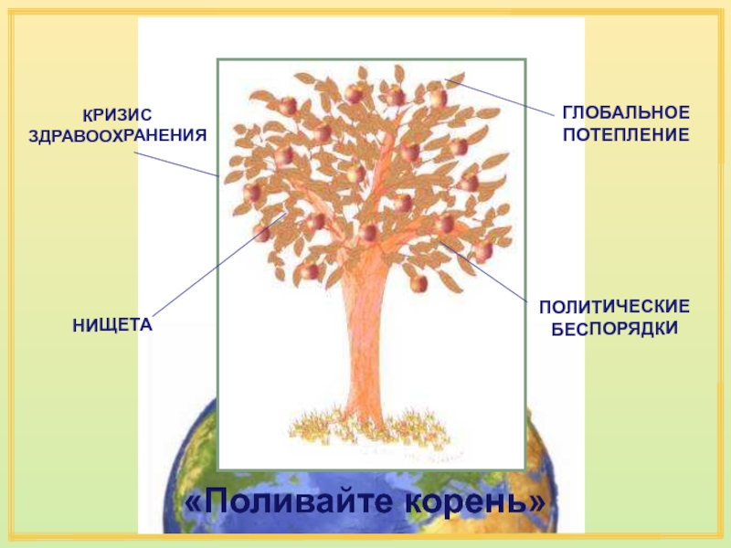 Полил какой корень. Поливай корень. Поливать корень.