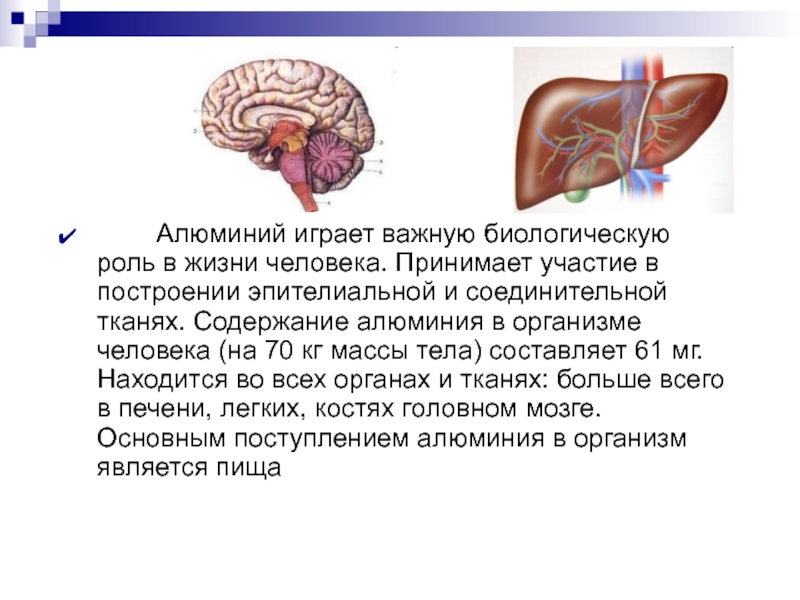 Влияние алюминия на организм человека презентация