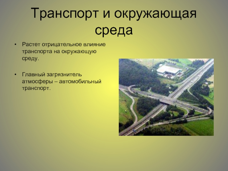 Влияние автомобильного транспорта на окружающую среду проект