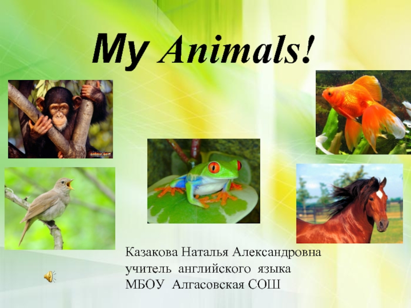 Презентация My Animals