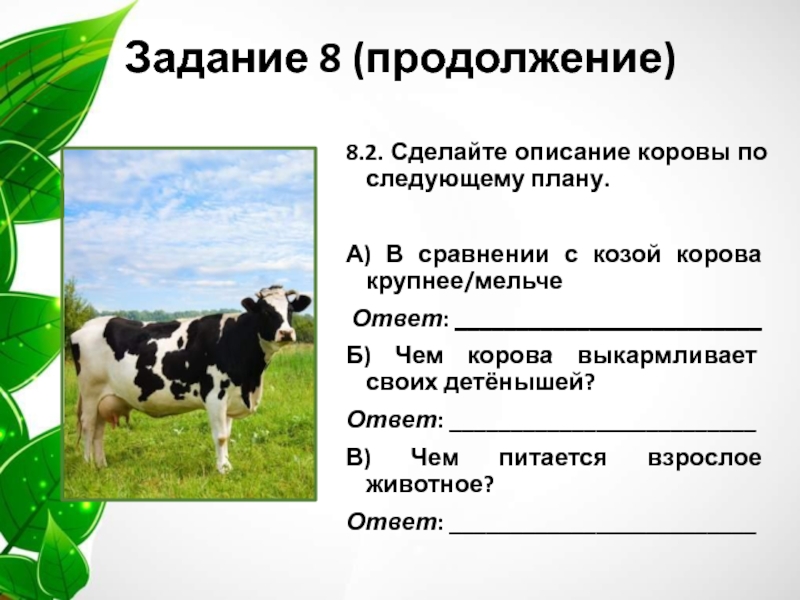 Сделайте описание по следующему плану