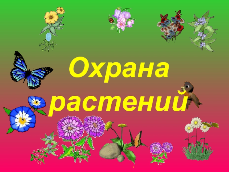 Презентация к уроку окружающего мира 3 класс