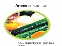 Экология питания