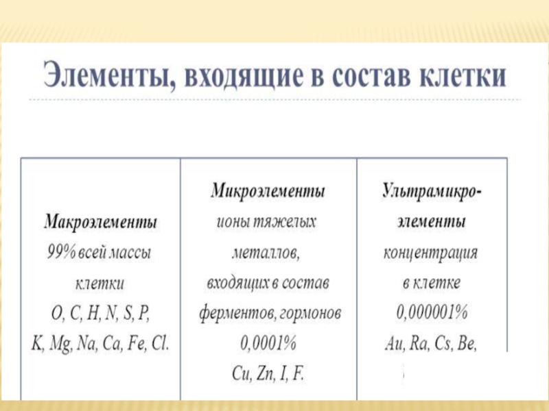 Химический состав клетки контрольная работа 9 класс