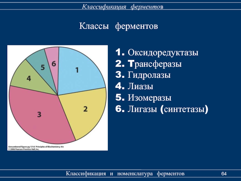 1 класс ферментов. Классификация и номенклатура ферментов. 6 Классов ферментов. Номенклатура ферментов трансфераз.