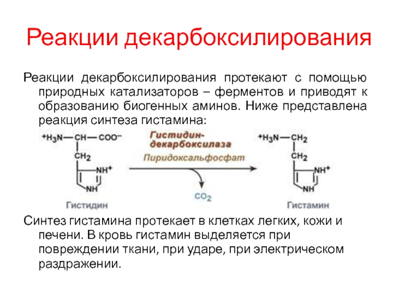 Синтез времени. Реакции карбоксилирования биохимия это. Механизм реакции декарбоксилирования. Декарбоксилирование диоксифенилаланина реакция. Схема реакции декарбоксилирования.