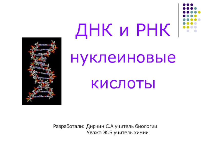 Презентация ДНК и РНК нуклеиновые кислоты