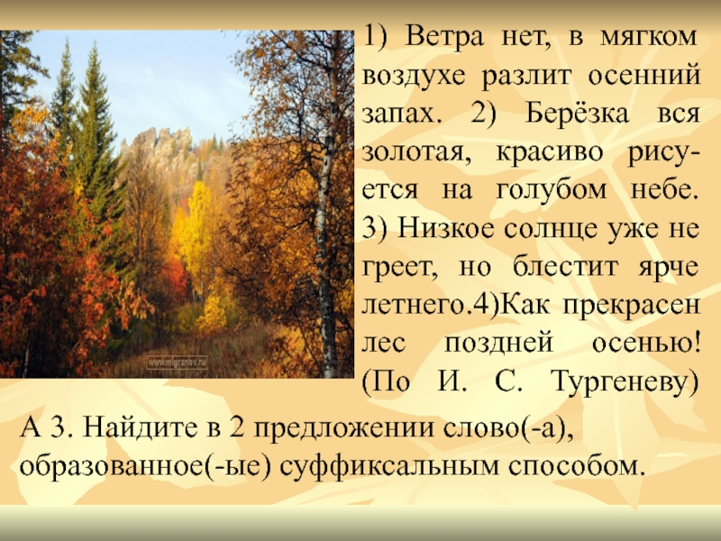 Как хорош лес поздней осенью. В воздухе пахнет осенью. В мягком воздухе разлит осенний запах. И Тургенев в мягком воздухе разлит осенний запах. Как хорош лес поздней осенью Тургенев.