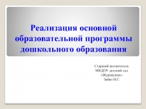 Реализация основной образовательной программы дошкольного образования