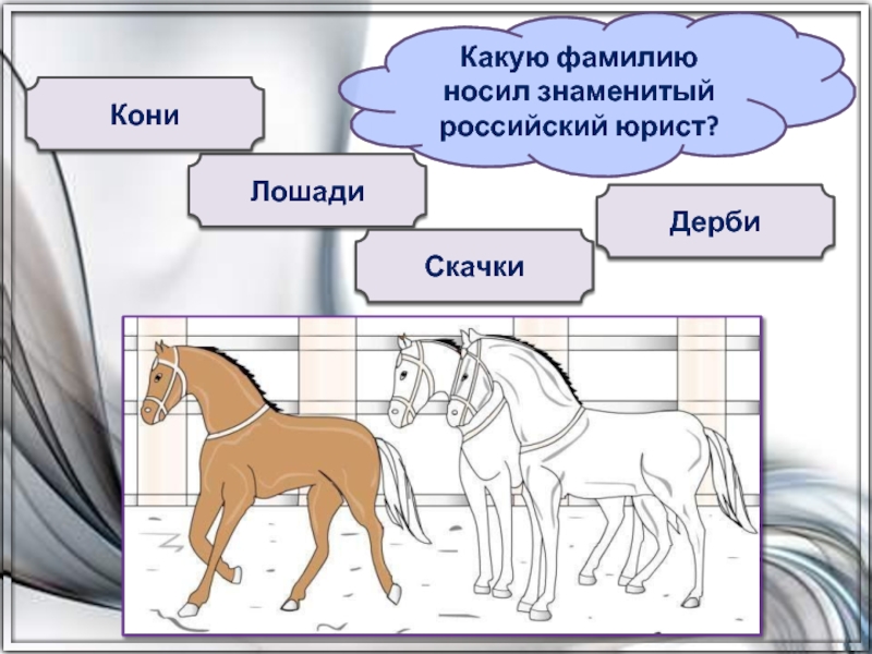 Конь минус и текст. Лошадь какой род. Лошадь какая группа животных. Лошадь какая прилагательные.