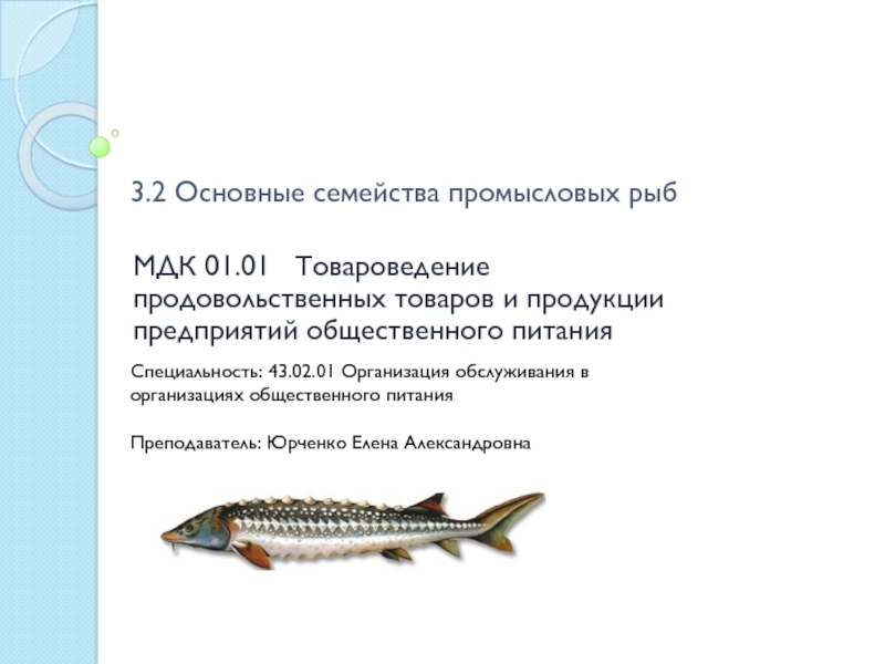 3.2 Основные семейства промысловых рыб