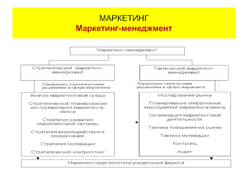 Дипломная работа маркетинговый план