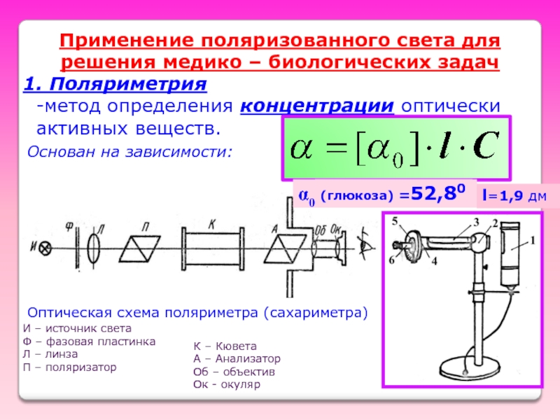 Оптическая схема сахариметра