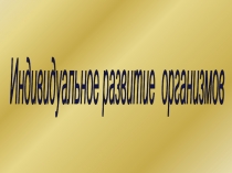 Индивидуальное развитие организмов