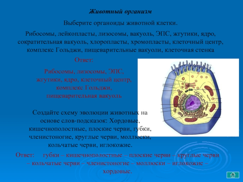 Выберите организмы