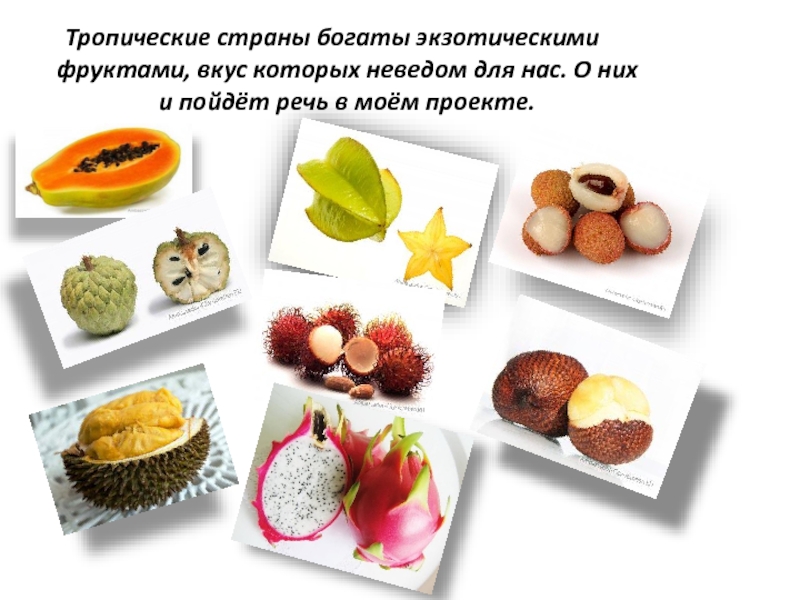 Фрукты экзотические фото с названиями и описанием на русском языке