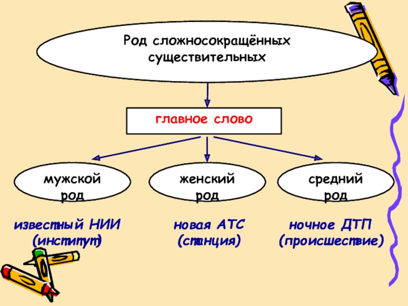 Урок презентация род несклоняемых имен существительных