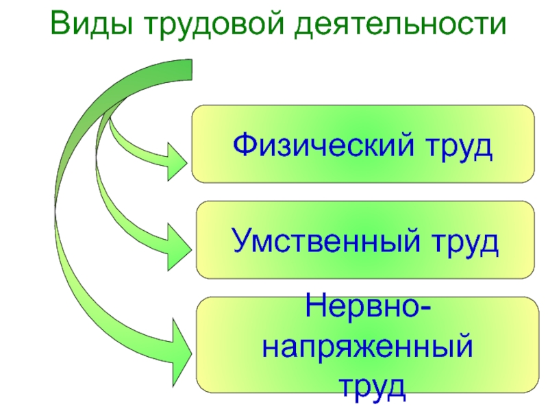 Труд схема. Виды трудовой деятельности. Виды трудово йдеятлеьности. Виды трудовой деятельности человека. Основные виды трудовой деятельности человека:.