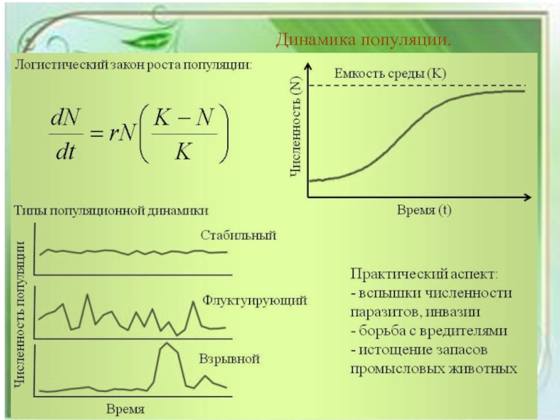 Изменение численности популяций презентация