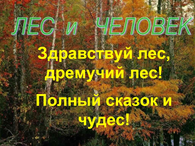 Лес и человек проект