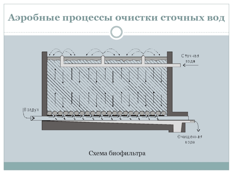 Биофильтры для очистки сточных вод схема