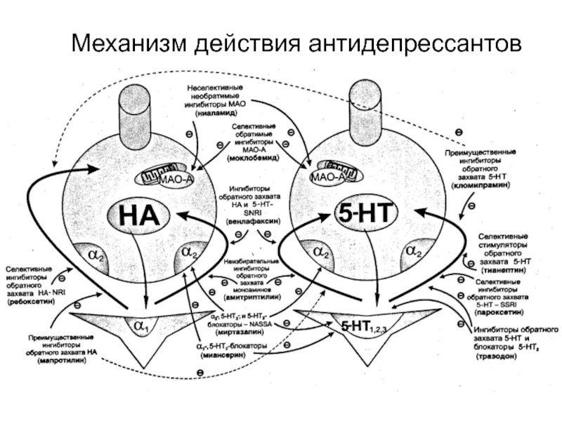 Схема отказа от антидепрессантов