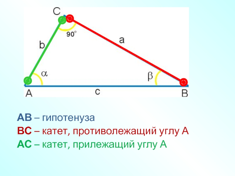 Какой угол прилежащий. Противолежащие углы. Противолежащий и прилежащий КГЛ. Противолежащий катет. Прилежащий и противолежащий угол.