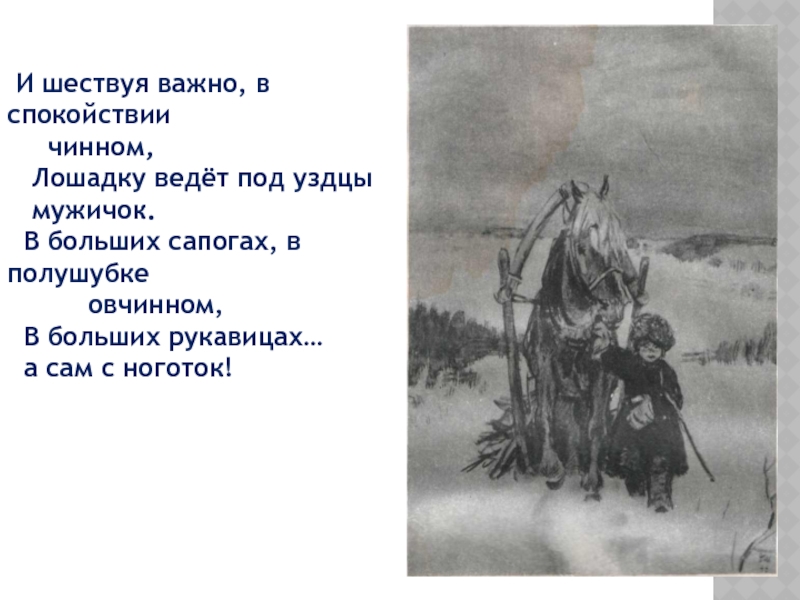 Под уздцы. Лошадку ведет под уздцы. И шествуя важно в спокойствии чинном лошадку ведет под уздцы мужичок. Под уздцы мужичок. Вести под уздцы.