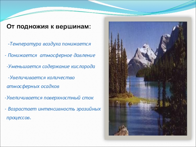 География 8 класс высотная поясность презентация 8 класс география