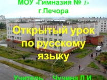 оль имен существительных в предложении. Многозначные слова, синонимы, антонимы.