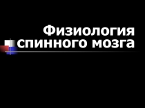 Физиология спинного мозга
